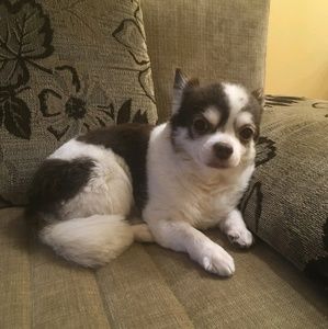 Meet your Posher, Eduard